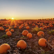 iStock